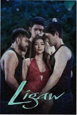 灯火阑珊处 - 电视剧 2026 家庭温情